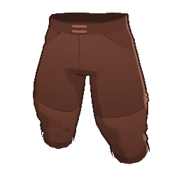 Squire's Galligaskins